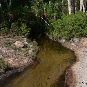 Rocky Bottom Creek Crossing