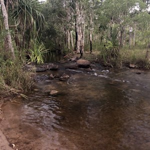 Rocky Bottom Creek Crossing