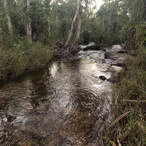 Rocky Bottom Creek Crossing