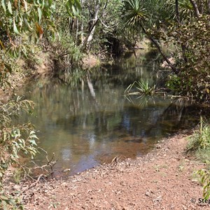 Boggy Creek Crossing 