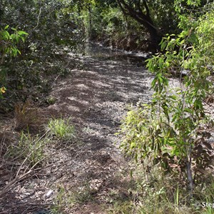 Boggy Creek Crossing 