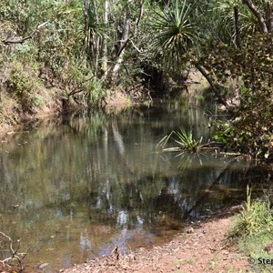Boggy Creek Crossing 