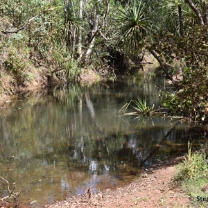 Boggy Creek Crossing 