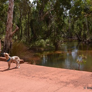 Giddy River Crossing