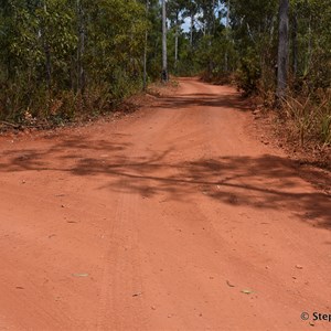 Goanna Lagoon & Latram River Track Junction