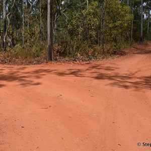 Goanna Lagoon & Latram River Track Junction