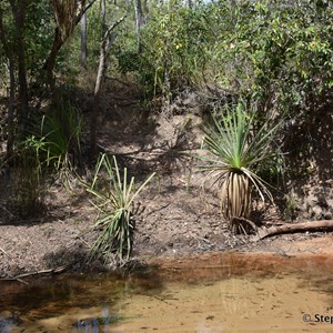 Latram River 