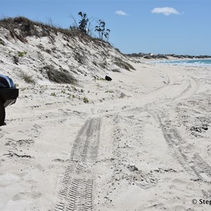 Start of Cape Arnhem Beach Run 