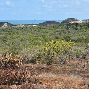 Inland Track on the Cape Arnhem Drive