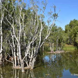 Elsey Creek Crossing