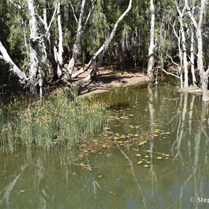Elsey Creek Crossing