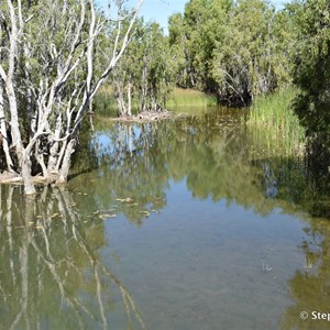 Elsey Creek Crossing