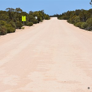 The Main Mount Wedge Road through the Park