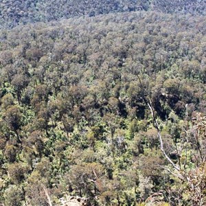 Looking at the valley floor from Perrys Lookdown