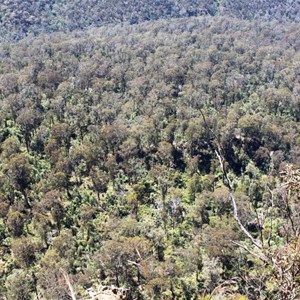 Looking at the valley floor from Perrys Lookdown