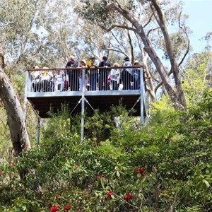 The observation deck is popular