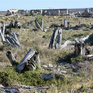 Old Yalata Homestead Ruins 