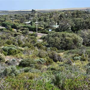 Elliston Lookout 