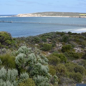 Elliston Lookout 