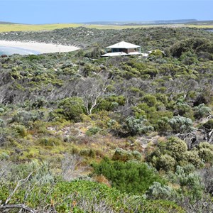 Elliston Lookout 