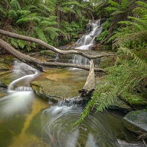 upper Leura Cascades