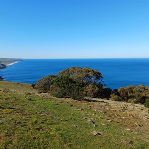 Tapanappa Lookout