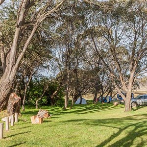 Long Plain Hut Campground