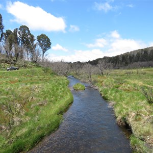 The creek looking upstream