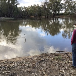 Murrumbidgee & Murray Rivers confluence