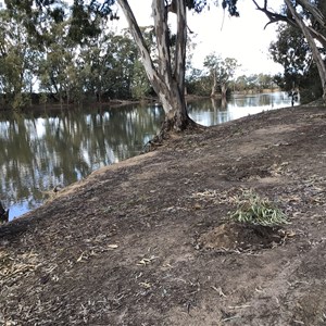 Murrumbidgee & Murray Rivers confluence