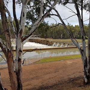 Lock 15 Euston-Robinvale