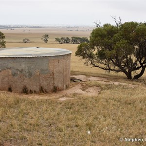 Tarlee Baseline