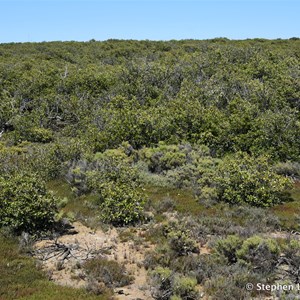 St Kilda Mangrove Trail and Interpretive Centre - Interpretive Centre