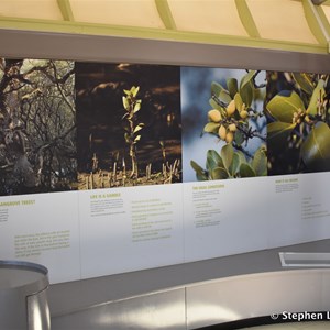 St Kilda Mangrove Trail and Interpretive Centre - Interpretive Centre