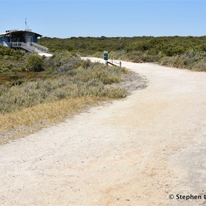 St Kilda Mangrove Trail and Interpretive Centre - Salt Marshes