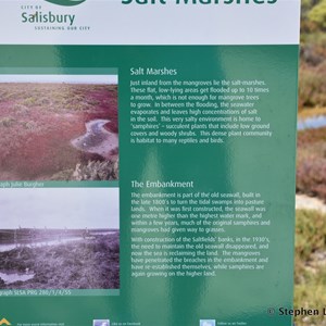 St Kilda Mangrove Trail and Interpretive Centre - Salt Marshes