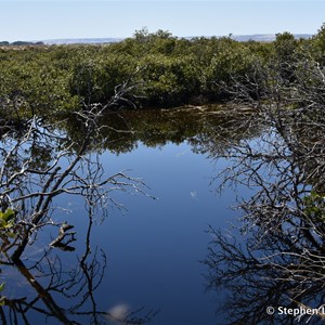 St Kilda Mangrove Trail and Interpretive Centre - Locked Gate