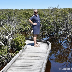 St Kilda Mangrove Trail and Interpretive Centre - Locked Gate