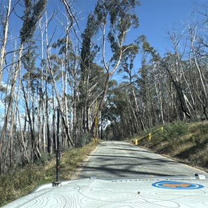 Trapyard gap