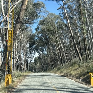 Trapyard gap