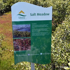 St Kilda Mangrove Trail and Interpretive Centre - Salt Meadows