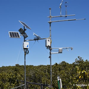 St Kilda Mangrove Trail and Interpretive Centre - Saline Forrest