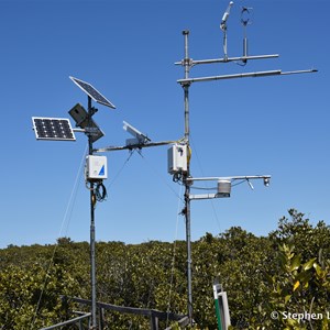 St Kilda Mangrove Trail and Interpretive Centre - Saline Forrest