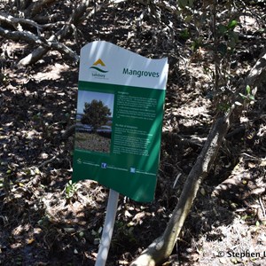 St Kilda Mangrove Trail and Interpretive Centre - Mangroves