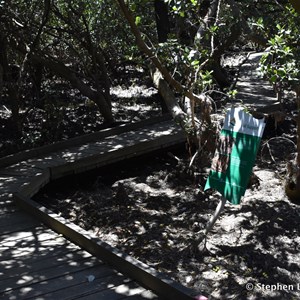 St Kilda Mangrove Trail and Interpretive Centre - Soil Support 