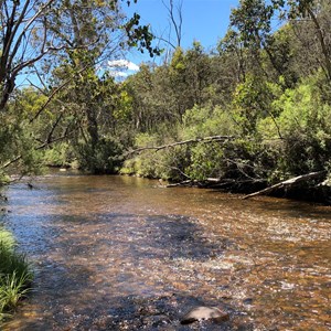 Murray River at Poplars