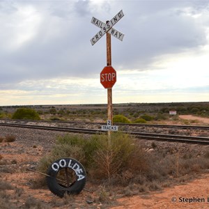 Ooldea