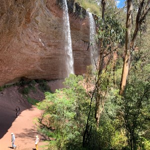 Paradise falls