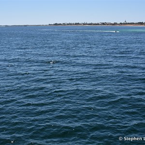 Port Hughes Jetty