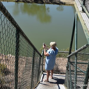 Waikerie Town Lookout